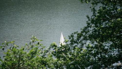 Quinta do Pomar Maior Douro - Porto Carvoeiro - Foto 5