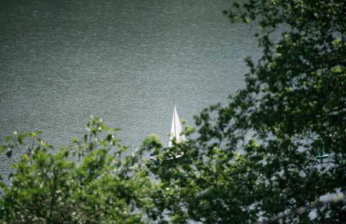 Quinta do Pomar Maior Douro - Porto Carvoeiro - Foto 5