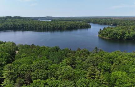 The Hideout - Cute and Quiet Rustic Cabin! - Foto 4