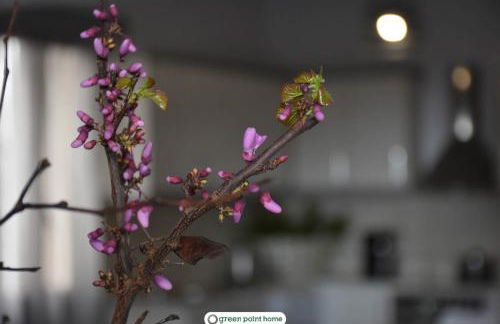 Green Point Home Chios - Foto 17