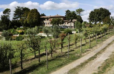 Tenuta Ponziani - Griffin's Resort - Foto 74