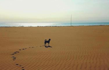 Penthouse Bellavista - Foto 60