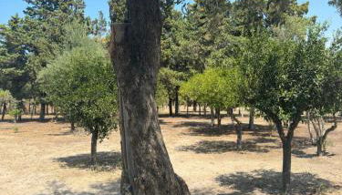 La casa di Giuliana - Photo 2