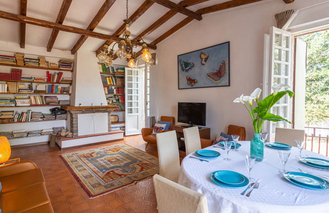 Bouganville - Foto 6