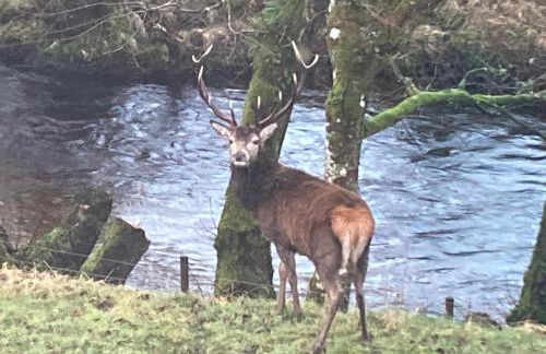Mingulay, Cuil Bay - Foto 12
