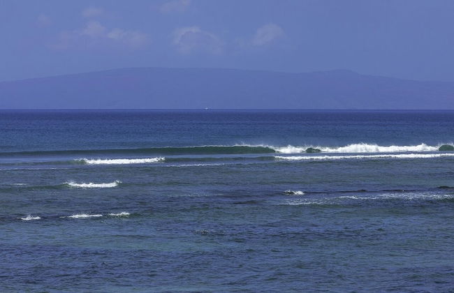 Maalaea Banyans 217 1 Bedroom Condo - Photo 39