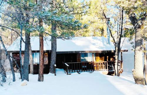 Granny's Love Shack - TRANQUIL RETREAT STEPS AWAY FROM THE NATIONAL FOREST! - Foto 28