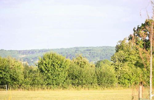 Bluebell Cabin - Foto 36