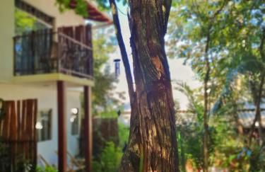 Morada dos Saguis - Foto 65