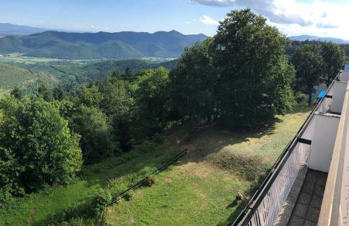 PERCHOIR 1 : Studio haut de gamme et lumineux - Foto 9