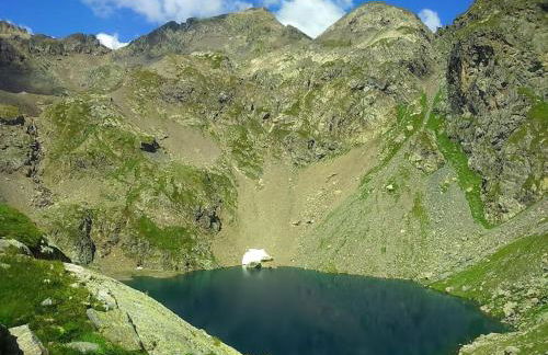 La marmotta gialla - apartment - lakes - mountains - Photo 25