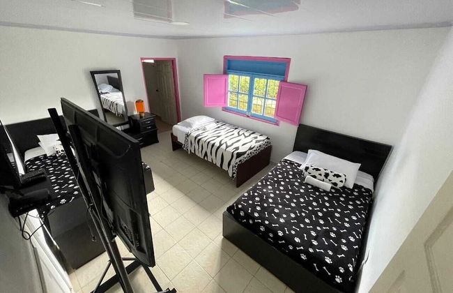 finca el arrullo - Photo 7