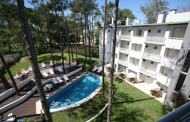 Avutarda de Carilo - Photo 52