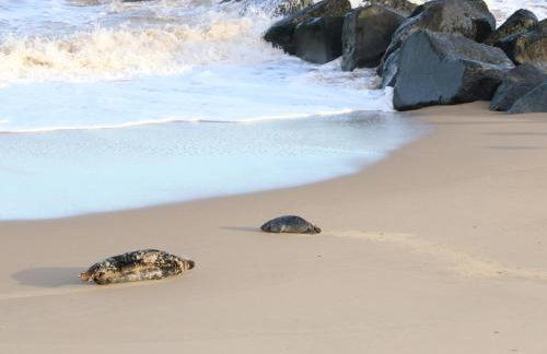 Holly Cottage - Photo 22