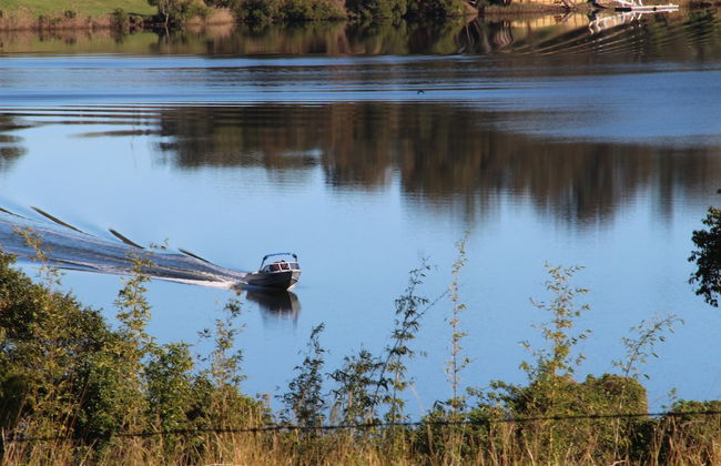 Mansfield on the Manning - Photo 23