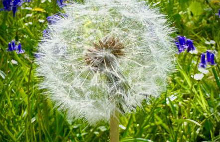 All Saints Cottage - secluded cottage with garden, 15 min walk to pub - Foto 29