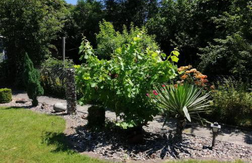 Glori 's Fewo - Foto 10