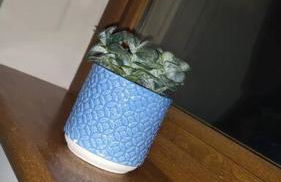 Meadow View - Foto 6