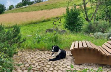 Unterer Gurethshof - Foto 15