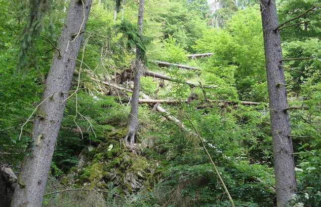 Cosy Apartment in Hallenberg Near Centre - Foto 60