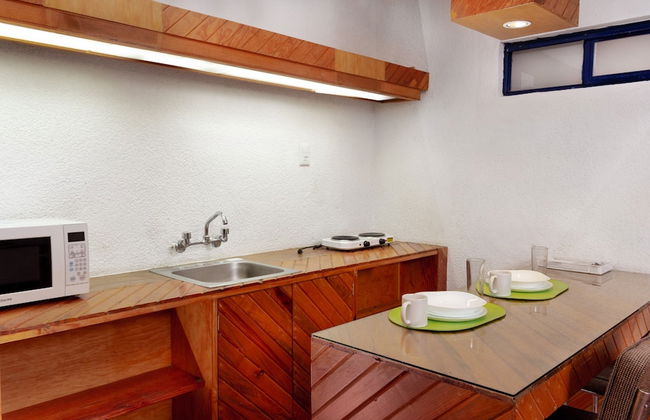 Departamentos Lomas SLP - Foto 26