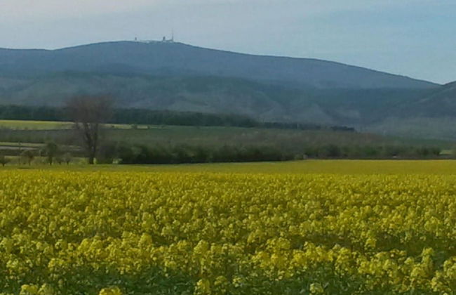 Comfort Near Castle Views - Foto 28