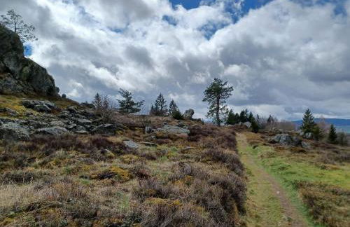 Schones Ferienhaus mit Grossem Garten bei Stadlern - Foto 82
