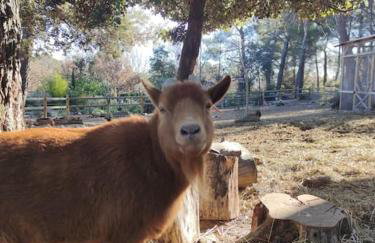 L'Autre Perle, balnéo en supplément, le Clos des Perles - Foto 51