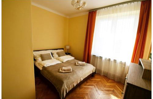 Color 24 - Złoty Punkt - Foto 8