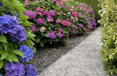 Galloway Farmstay Claunch - Foto 31