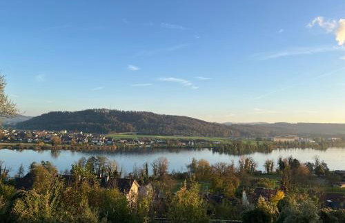 Rheinblick Apartment 3 - Foto 25