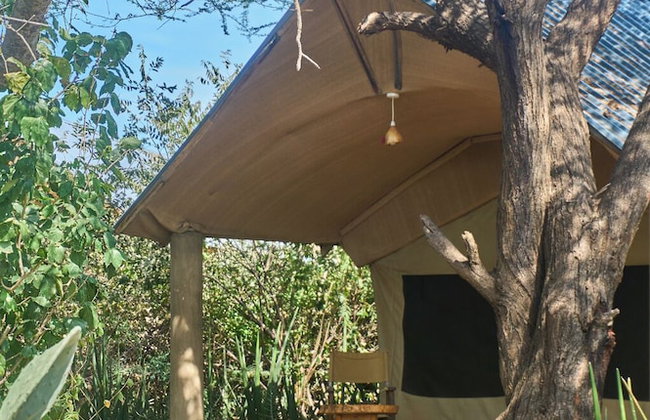 Tindiga Tented Camp - Foto 52