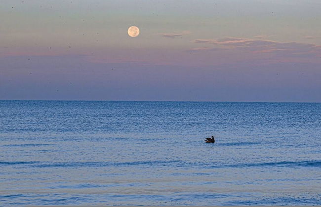 Hibiscus Heated Pool Private Dock Bikes Kayaks Walk to Fishermen s Village - Foto 61