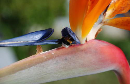 AFIFE "Porta da Alegria" - Foto 14