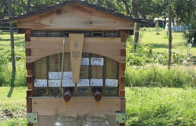 Giardino di Limoni Eco Friendly Villa - Foto 66