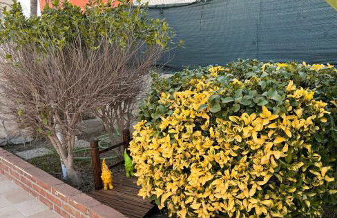 Casa Helios - Photo 47