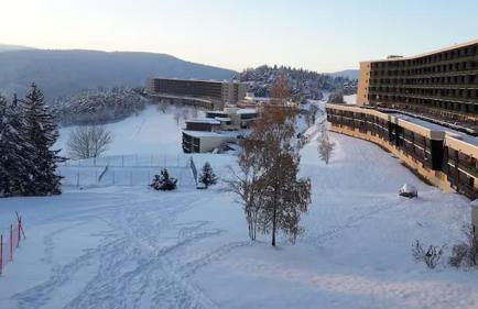 Chaleureux studio pied des pistes Les Glovettes VILLARD DE LANS - Foto 8