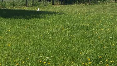 Oak Barn, Ludlow - Foto 5, Garden view