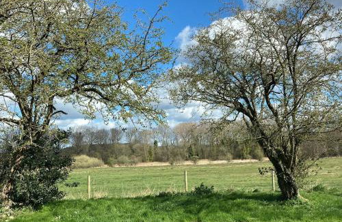 Meadow Cottage - Foto 19