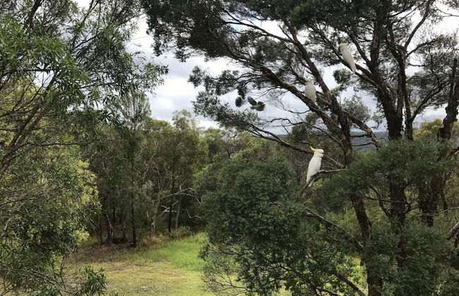 Kookaburra Retreat - Foto 42