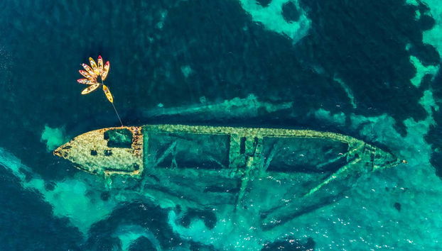 Dugi Otok Kayak Tour - Foto 2