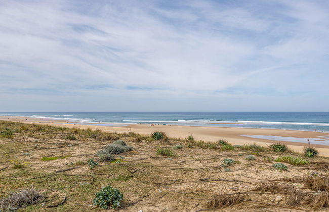 Les Maisons de l'Océan - Foto 21