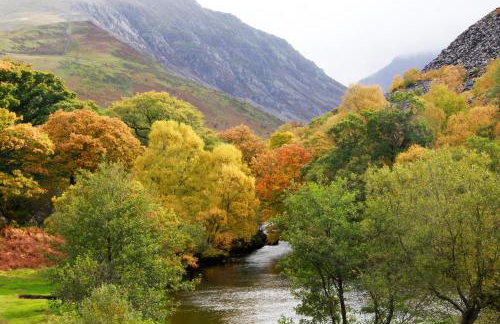 4 Ty Person - Photo 30