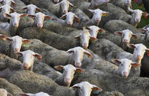 La Maison Bleue, village vacances, piscine, parking - Photo 53