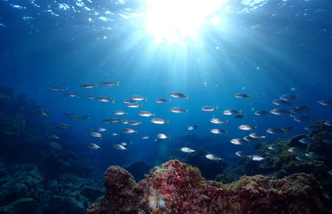 Bautismo de buceo en Puerto Addaya - Foto 14