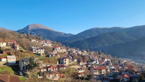 The Black Chestnut - Foto 4