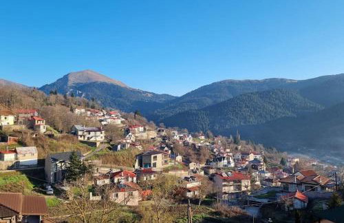 The Black Chestnut - Foto 4