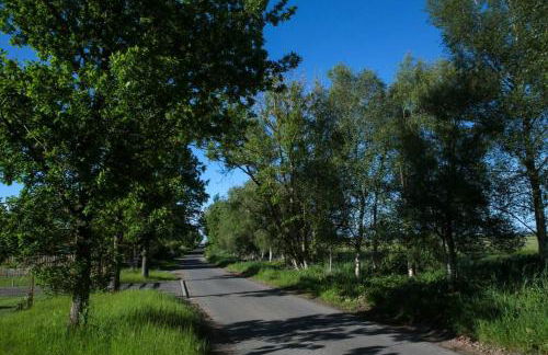 The Bothy - Photo 13