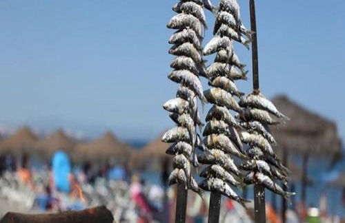 Villa El Coto - Photo 32