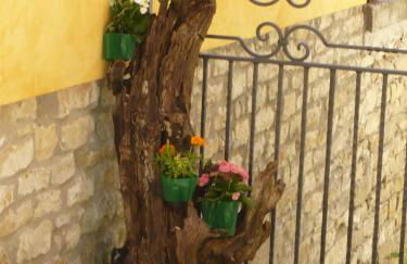 La Casa Dei Ricordi - Foto 16